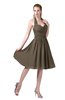 ColsBM Corinne Carafe Brown Modest Sleeveless Zip up Chiffon Knee Length Ruching Party Dresses