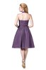 ColsBM Corinne Chinese Violet Modest Sleeveless Zip up Chiffon Knee Length Ruching Party Dresses