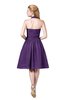 ColsBM Corinne Dark Purple Modest Sleeveless Zip up Chiffon Knee Length Ruching Party Dresses