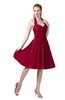 ColsBM Corinne Dark Red Modest Sleeveless Zip up Chiffon Knee Length Ruching Party Dresses