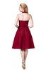 ColsBM Corinne Dark Red Modest Sleeveless Zip up Chiffon Knee Length Ruching Party Dresses