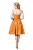 ColsBM Corinne Orange Modest Sleeveless Zip up Chiffon Knee Length Ruching Party Dresses