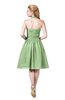ColsBM Corinne Sage Green Modest Sleeveless Zip up Chiffon Knee Length Ruching Party Dresses