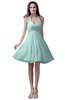 ColsBM Emma Blue Glass Elegant Sleeveless Zip up Knee Length Flower Party Dresses