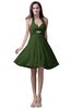 ColsBM Emma Garden Green Elegant Sleeveless Zip up Knee Length Flower Party Dresses