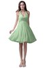 ColsBM Emma Light Green Elegant Sleeveless Zip up Knee Length Flower Party Dresses