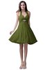 ColsBM Emma Olive Green Elegant Sleeveless Zip up Knee Length Flower Party Dresses