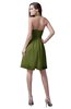 ColsBM Emma Olive Green Elegant Sleeveless Zip up Knee Length Flower Party Dresses