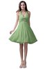 ColsBM Emma Sage Green Elegant Sleeveless Zip up Knee Length Flower Party Dresses