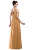 ColsBM Alena Apricot Simple A-line Sleeveless Chiffon Floor Length Pleated Evening Dresses