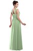 ColsBM Alena Pale Green Simple A-line Sleeveless Chiffon Floor Length Pleated Evening Dresses