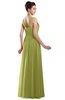ColsBM Alena Pistachio Simple A-line Sleeveless Chiffon Floor Length Pleated Evening Dresses