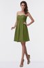 ColsBM Aviana Olive Green Elegant A-line Sleeveless Chiffon Pleated Party Dresses