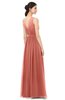 ColsBM Briar Crabapple Bridesmaid Dresses Sleeveless A-line Pleated Floor Length Elegant Bateau
