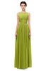 ColsBM Skyler Green Oasis Bridesmaid Dresses Sheer A-line Sleeveless Classic Ruching Zipper