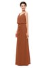 ColsBM Sasha Bombay Brown Bridesmaid Dresses Column Simple Floor Length Sleeveless Zip up V-neck