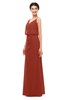 ColsBM Sasha Rust Bridesmaid Dresses Column Simple Floor Length Sleeveless Zip up V-neck