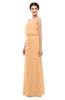 ColsBM Sasha Salmon Buff Bridesmaid Dresses Column Simple Floor Length Sleeveless Zip up V-neck