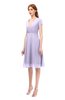 ColsBM Bailey Pastel Lilac Bridesmaid Dresses V-neck Ruching A-line Zipper Knee Length Modern