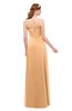 ColsBM Andrea Apricot Bridesmaid Dresses Sexy Zipper Sleeveless Pleated Floor Length A-line