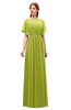 ColsBM Darcy Green Oasis Bridesmaid Dresses Pleated Modern Jewel Short Sleeve Lace up Floor Length