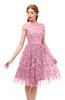 ColsBM Arlie Carnation Pink Bridesmaid Dresses Lace Classic Zipper Knee Length A-line Short Sleeve