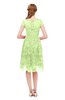 ColsBM Arlie Lime Green Bridesmaid Dresses Lace Classic Zipper Knee Length A-line Short Sleeve