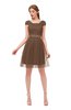 ColsBM Izzy Bronze Brown Bridesmaid Dresses Zip up Pleated Mini Short Sleeve A-line Elegant