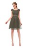 ColsBM Izzy Chocolate Chip Bridesmaid Dresses Zip up Pleated Mini Short Sleeve A-line Elegant