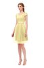 ColsBM Izzy Daffodil Bridesmaid Dresses Zip up Pleated Mini Short Sleeve A-line Elegant