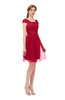 ColsBM Izzy Dark Red Bridesmaid Dresses Zip up Pleated Mini Short Sleeve A-line Elegant