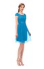 ColsBM Izzy Dresden Blue Bridesmaid Dresses Zip up Pleated Mini Short Sleeve A-line Elegant