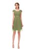 ColsBM Izzy Fern Green Bridesmaid Dresses Zip up Pleated Mini Short Sleeve A-line Elegant