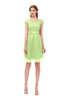 ColsBM Izzy Green Oasis Bridesmaid Dresses Zip up Pleated Mini Short Sleeve A-line Elegant