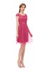 ColsBM Izzy Honeysuckle Pink Bridesmaid Dresses Zip up Pleated Mini Short Sleeve A-line Elegant