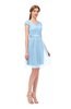 ColsBM Izzy Ice Blue Bridesmaid Dresses Zip up Pleated Mini Short Sleeve A-line Elegant