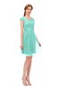 ColsBM Izzy Mint Green Bridesmaid Dresses Zip up Pleated Mini Short Sleeve A-line Elegant