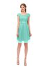 ColsBM Izzy Mint Green Bridesmaid Dresses Zip up Pleated Mini Short Sleeve A-line Elegant