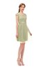ColsBM Izzy Pale Olive Bridesmaid Dresses Zip up Pleated Mini Short Sleeve A-line Elegant