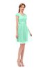 ColsBM Izzy Pastel Green Bridesmaid Dresses Zip up Pleated Mini Short Sleeve A-line Elegant