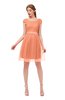 ColsBM Izzy Peach Bridesmaid Dresses Zip up Pleated Mini Short Sleeve A-line Elegant