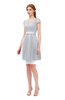 ColsBM Izzy Platinum Bridesmaid Dresses Zip up Pleated Mini Short Sleeve A-line Elegant