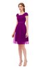 ColsBM Izzy Purple Wine Bridesmaid Dresses Zip up Pleated Mini Short Sleeve A-line Elegant