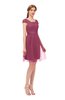 ColsBM Izzy Rose Wine Bridesmaid Dresses Zip up Pleated Mini Short Sleeve A-line Elegant