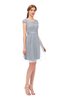 ColsBM Izzy Silver Bridesmaid Dresses Zip up Pleated Mini Short Sleeve A-line Elegant