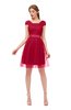 ColsBM Izzy Tango Red Bridesmaid Dresses Zip up Pleated Mini Short Sleeve A-line Elegant