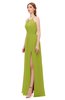 ColsBM Hadley Green Oasis Bridesmaid Dresses A-line Zip up Halter Sexy Floor Length Sleeveless