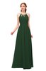 ColsBM Hadley Hunter Green Bridesmaid Dresses A-line Zip up Halter Sexy Floor Length Sleeveless