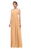 ColsBM Peyton Apricot Bridesmaid Dresses Pleated Halter Sleeveless Half Backless A-line Glamorous
