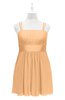 ColsBM Wilt Apricot Plus Size Bridesmaid Dresses Spaghetti Zipper Sleeveless Sash Mini Informal